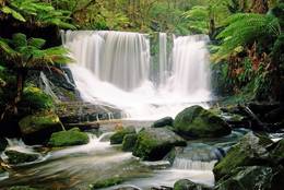 Horseshoe Falls auf Tasmanien