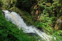 kleiner Ausschnitt aus den bekannten Triberger Wasserfällen