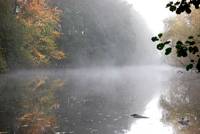 Herbstmorgen: nach erster kalter Nacht steigen Nebelschwaden vom Wasser auf