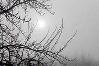 Wintersonne im Nebel auf der Schwäbischen Alb