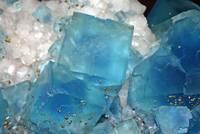 Fluorit-Kristalle (blau) mit Pyrit (goldfarben)