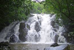 sattes Grün und rauschender Wasserfall