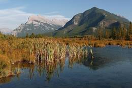 Vermilion Lakes mit Rocky Mountains, Alberta, Kanada
