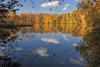 Bäume im Herbstlaub an einem See