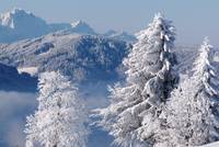 Zentralschweiz im Winter