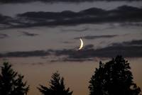 die Mondsichel setzt einen besonderen Akzent in der Abenddämmerung