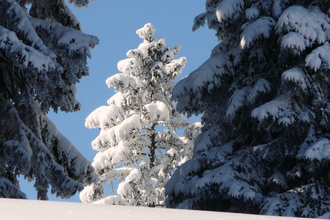 Winter in den schweizer Bergen Winter in den schweizer Bergen