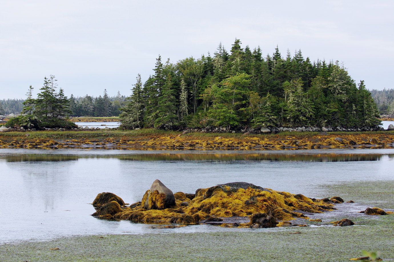 Bucht bei Ebbe, Nova Scotia, Kanada Bucht bei Ebbe, Nova Scotia, Kanada