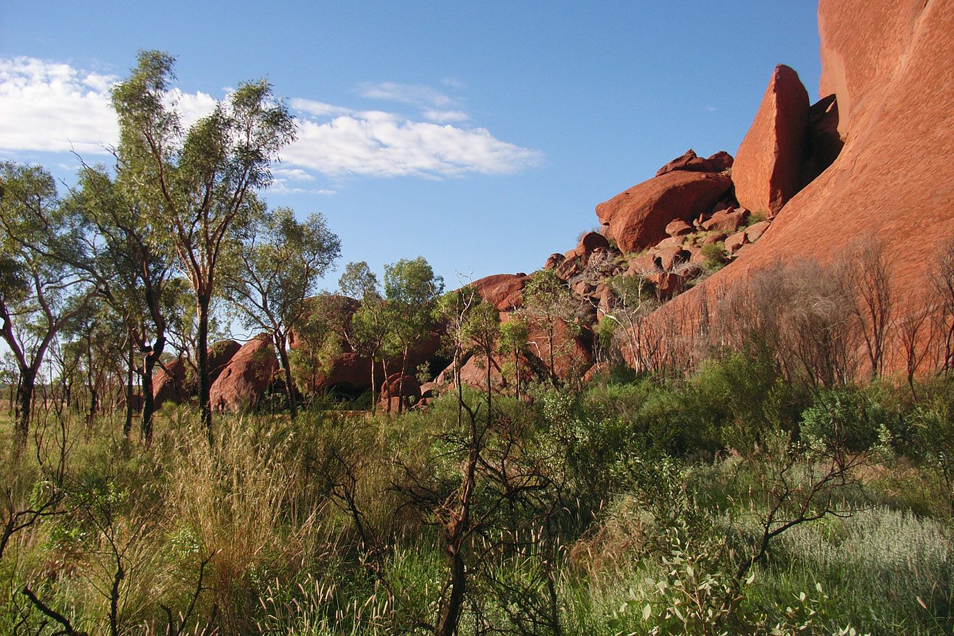 am Fuß von Uluru, Northern Territory, Australien