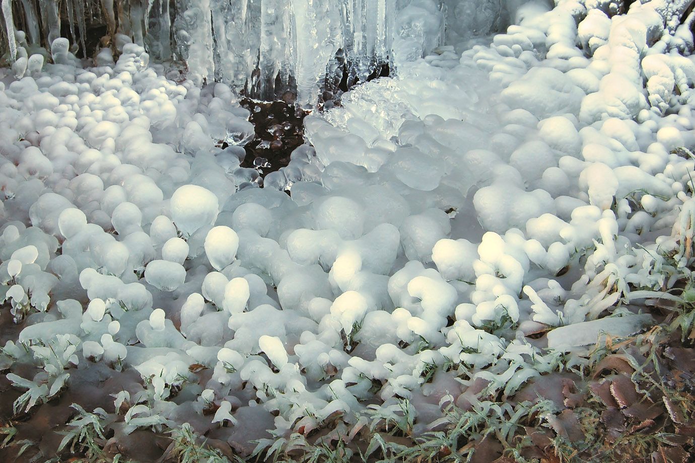eine kleine Eisdecke baut sich auf eine kleine Eisdecke baut sich auf