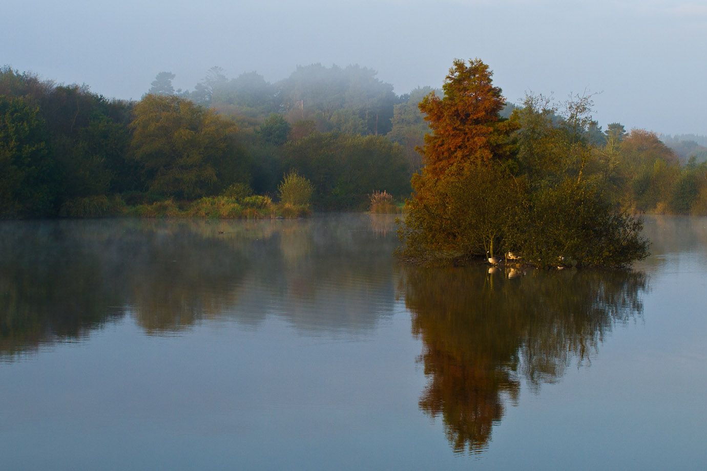 Tanners Lake im Stafford Moor, England