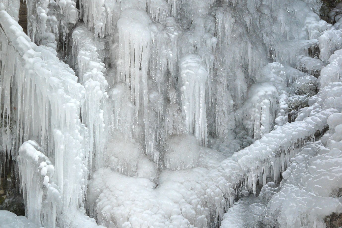vereist - Zweige im Winter
